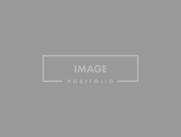Gray placeholder with "Image Portfolio" text Gray placeholder with "Image Portfolio" text