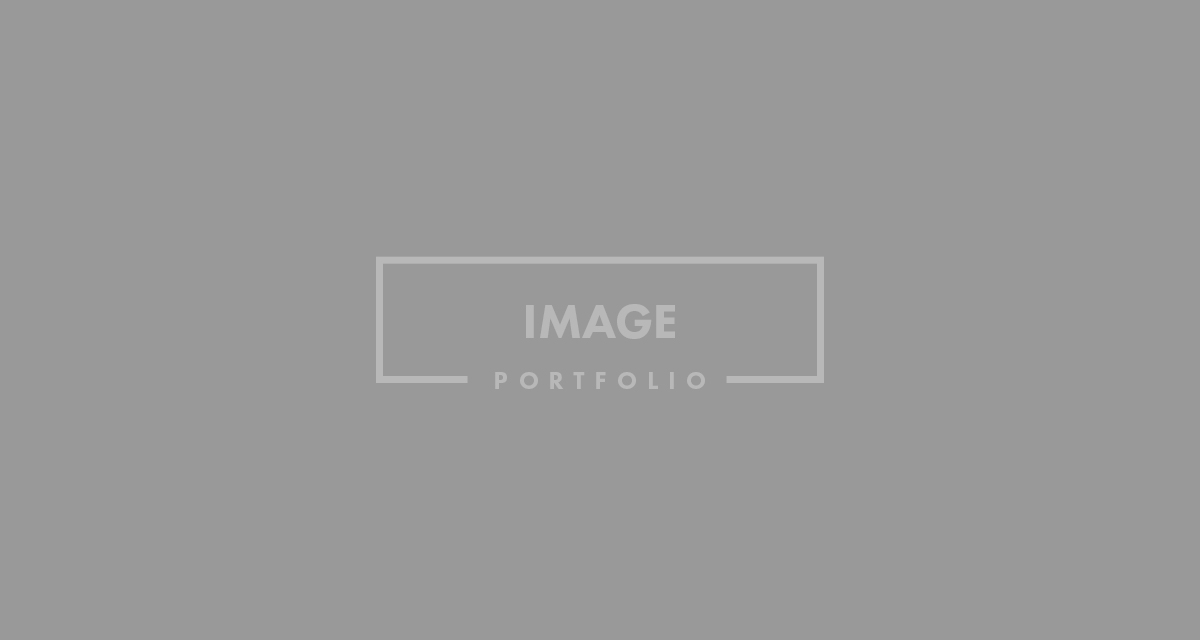 Gray placeholder with "Image Portfolio" text Gray placeholder with "Image Portfolio" text